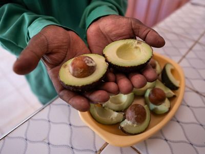Fresh Avocado