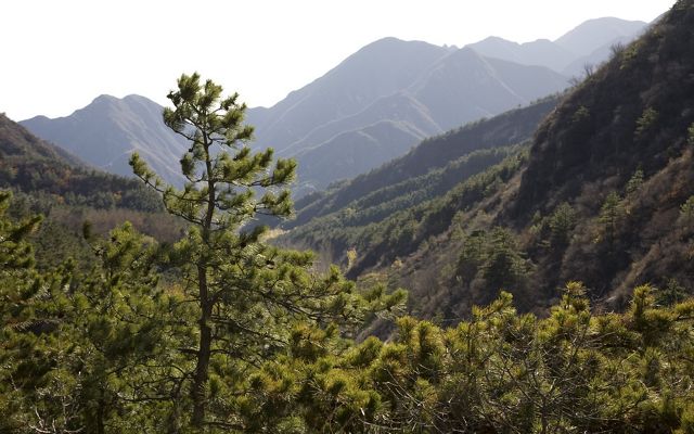 Mountain scenery