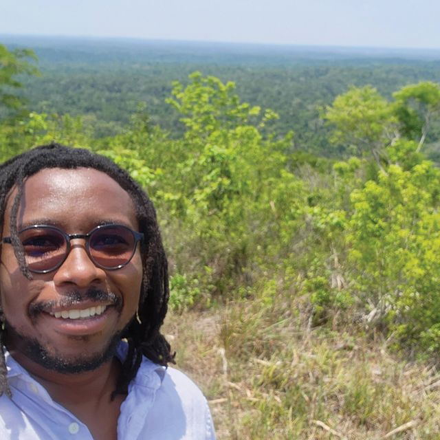 A man stands at an overlook of vibrant trees