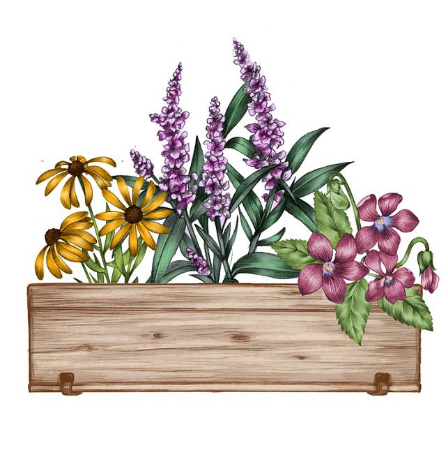 A color illustration of a flowerbox full of flowers