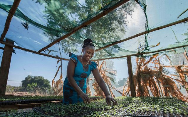 Woman standing and smiling in greenhouse