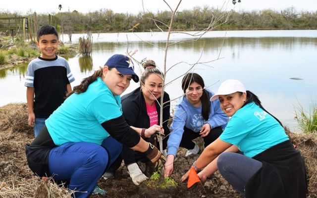 A group of four female volunteers plant a young Montezuma cypress tree along the edge of the Rio Grande while a young boy watches them at work.