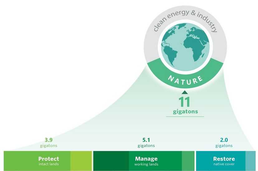Graphic showing the different pathways to protect, manage and restore lands that add up to 11 gigatons of reduced emissions.