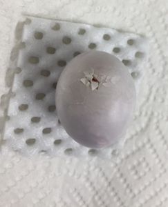 A Sihek egg beginning to hatch.