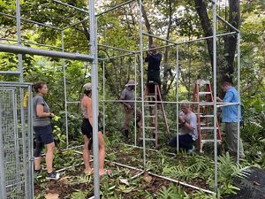 Partners from the Program build 1 of 3 avaiaries to receive sihek chicks at TNC's Palmyra Atoll Preserve.