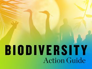 A collage of silhouetted animal, plant and people photos with a gradient overlay of green, orange, and yellow.